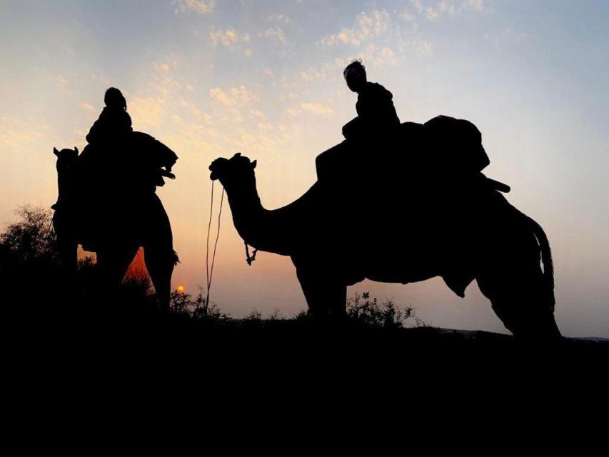 Camel Safari & Jeep Safari Private Tour From Jodhpur - Key Points