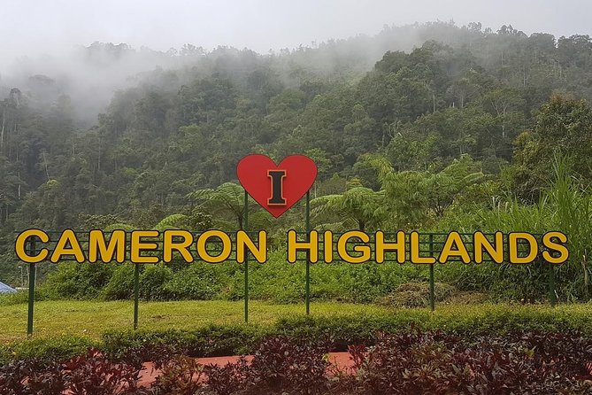 Cameron Highlands Amazing Day Trip Tour With Local Lunch - Key Points