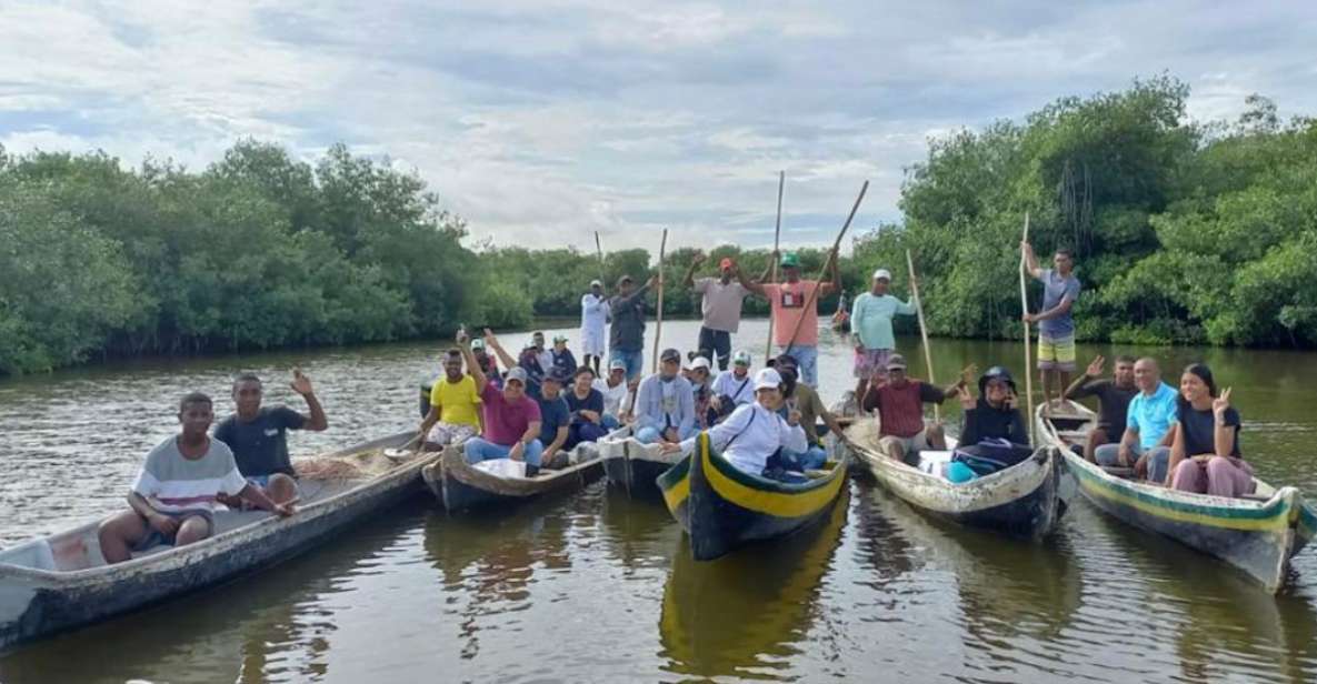 Cartagena: Canoe Tour Through Mangroves - Key Points