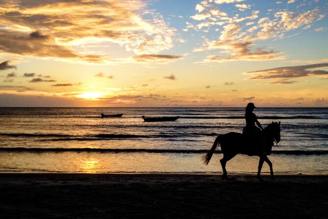 Cartagena: Horseback Riding at the Beach During Sunset - Key Points