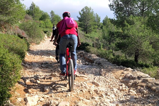 Cassis: Three Calanques Tour by Electric Mountain Bike - Overview of the Tour