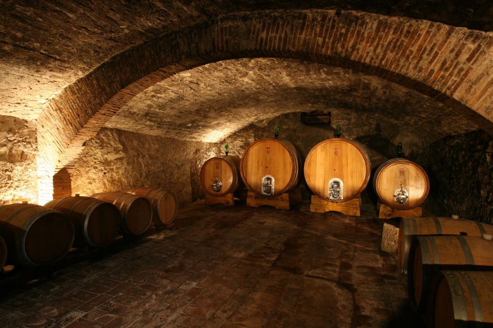 Chianti: Wine and Olive Oil Tasting With Cellar Tour - Key Points