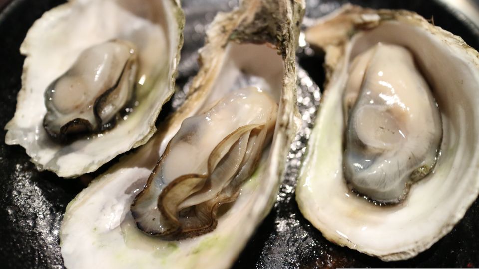 Chioggia: Discover Aquaculture Techniques in a Typical Boat - Key Points