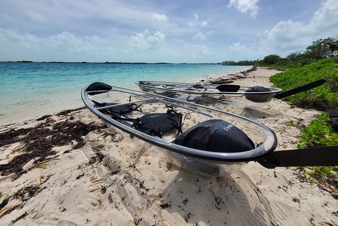 Clear Kayak Mangrove Eco Tour - Key Points