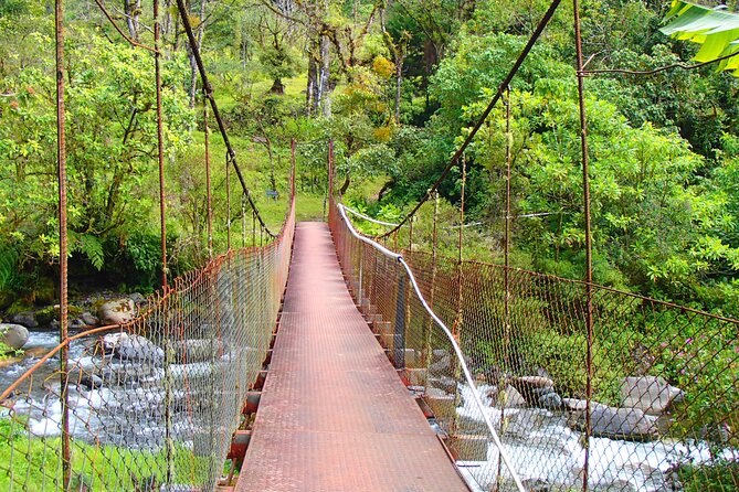 Cloud Forest Wildlife Hike 8:30am (Minimum of 2 People Required ) - Tour Overview