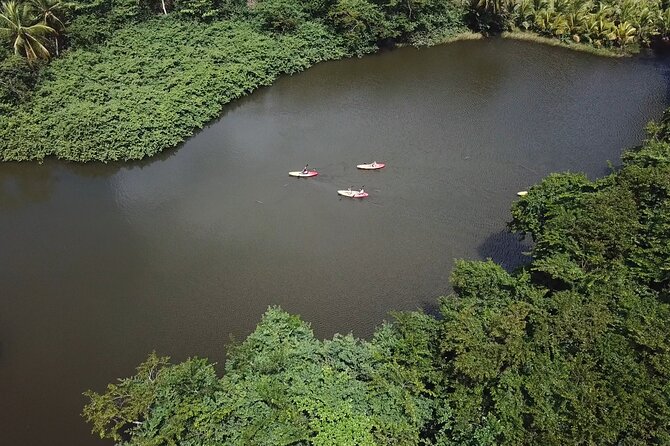 Coastal and River Kayaking Adventure at Marigot Bay - Meeting Point and Accessibility