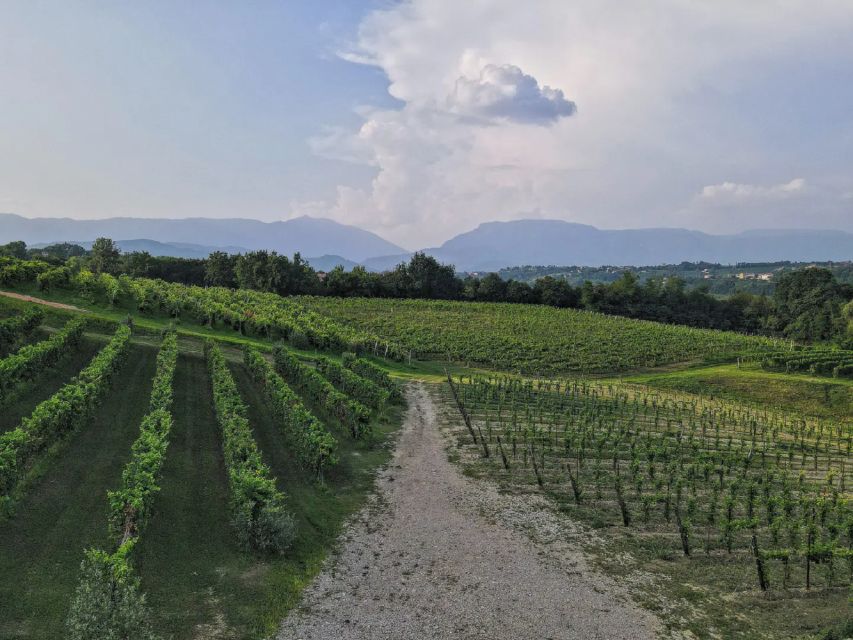 Conegliano: Prosecco Hills and Vineyards Tour - Key Points