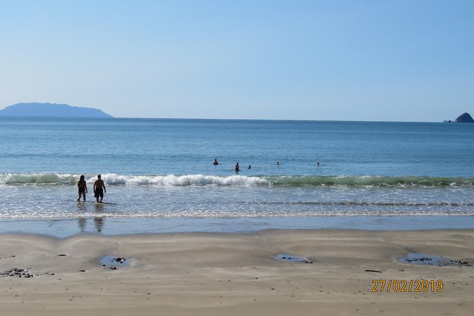 Coromandel Coastal Walkway Day Tour Ex Colville - Key Points