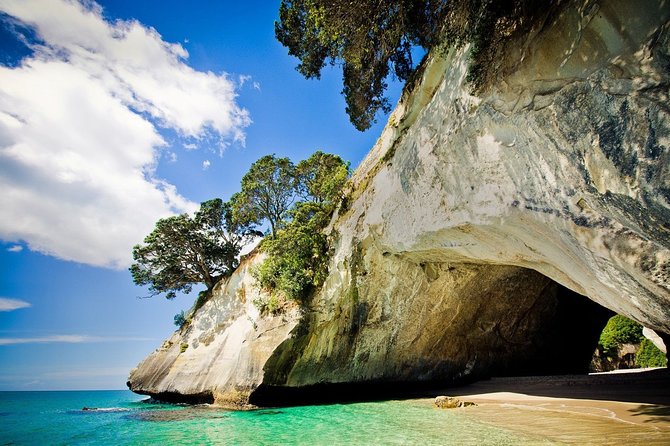 Coromandel Peninsula Discovery - Private Tour From Auckland - Key Points