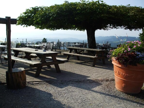 Culinary Tour From Zurich With Traditional Swiss Cheese Fondue Dinner - Good To Know