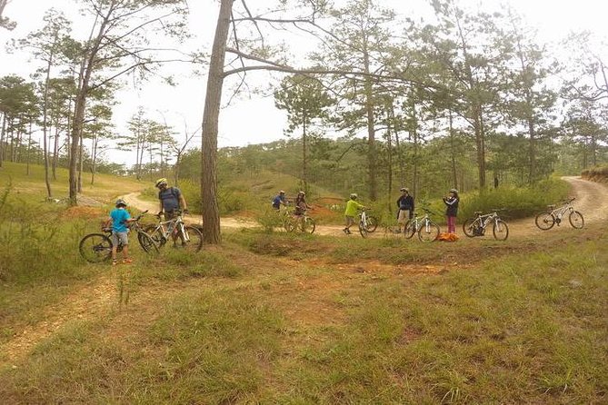 Dalat Mountain Biking Tours - Key Points