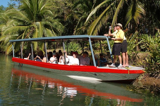 Damas Island Mangrove Boat Tour From Manuel Antonio - Key Points