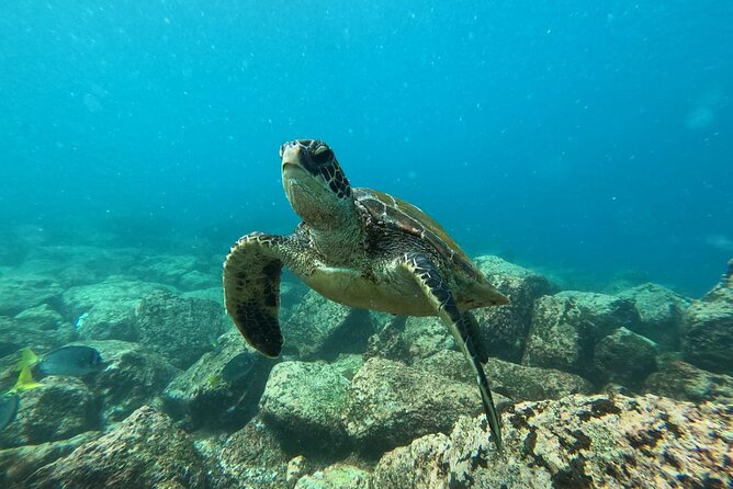 Day Tour to Floreana Island With Snorkeling and Fishing - Key Points