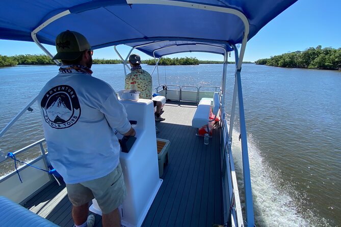 Dolphin and Manatee Boat Tour in 10,000 Islands NWR - Tour Overview