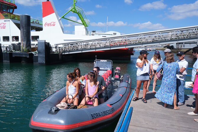 Dolphin Watching in Setúbal - Overview of Dolphin Watching
