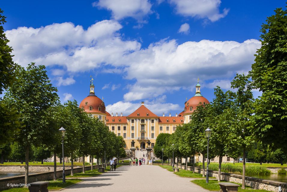 Dresden Regio Card for 1, 2, or 3 Days - Key Points