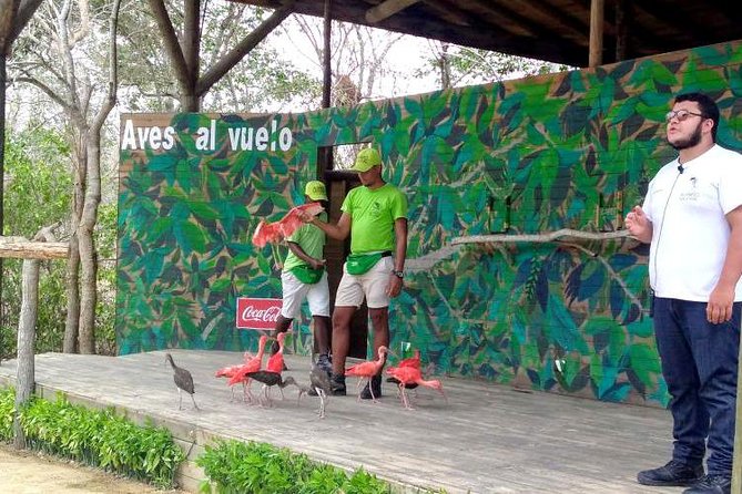 Eco Plan National Aviary and Lunch in Playa Mambo Beach Barú - Tour Overview