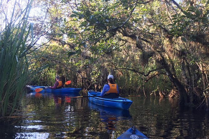 Everglades Kayak Safari Adventure Through Mangrove Tunnels