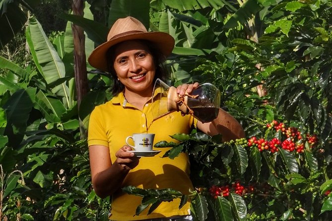 Explore the Coffee Process_From Tree to Cup & Fun by Jeep - Key Points