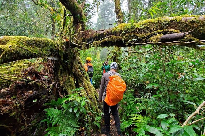 Fansipan Trek One Day Tour – Roof of Indochina - Overview of Fansipan Trek