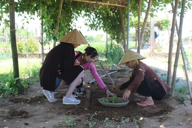 Farming With the Local Famers - Overview of Tra Que Herb Village