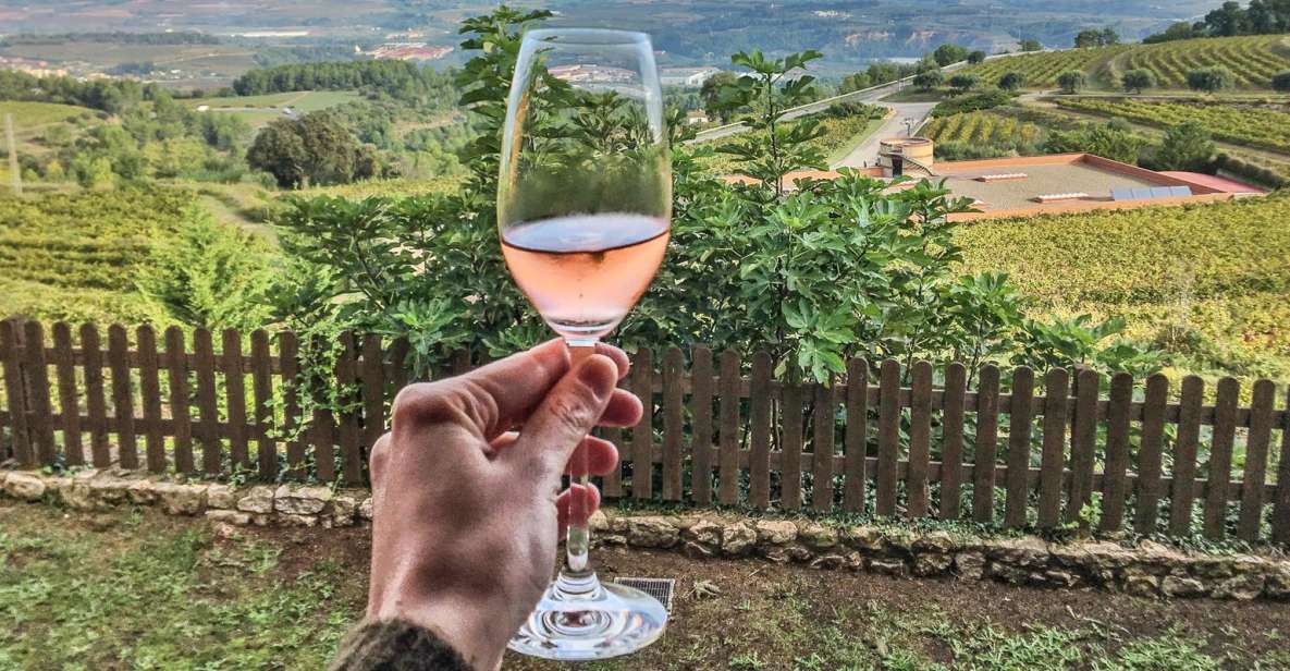 From Barcelona: Montserrat Lunch & Wine Tasting in Vineyard - Key Points