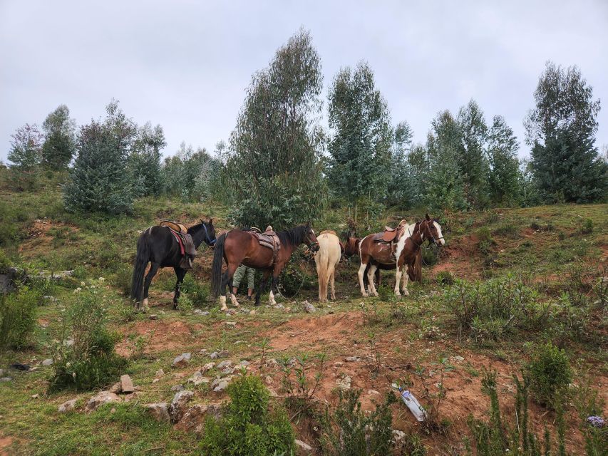 From Cusco: Temple of the Moon Horseback Tour With Transfer - Key Points