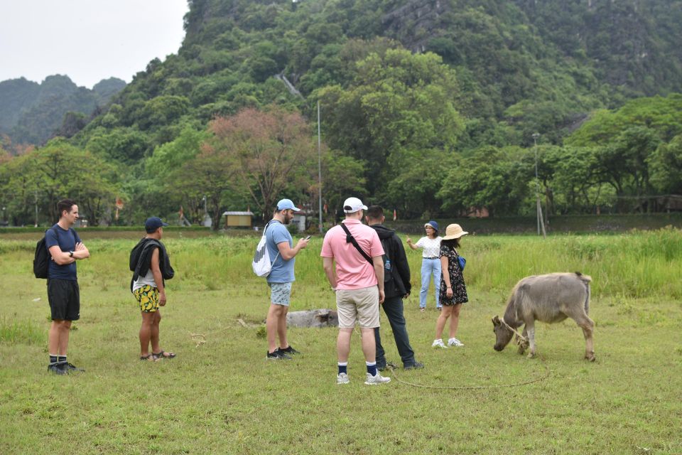 From Hanoi: Ninh Binh, Hoa Lu, Tam Coc, & Mua Cave Day-Trip - Key Points