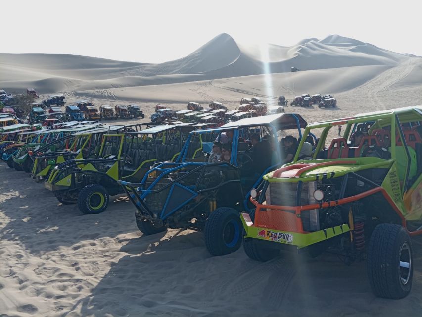 From Lima: Tour to Ballestas Islands, Huacachina Oasis - Key Points