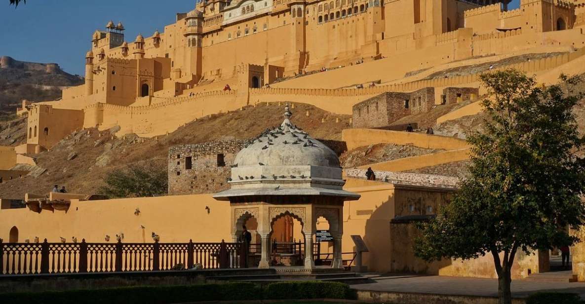 From New Delhi: One Day Jaipur City Tour By Superfast Train - Key Points