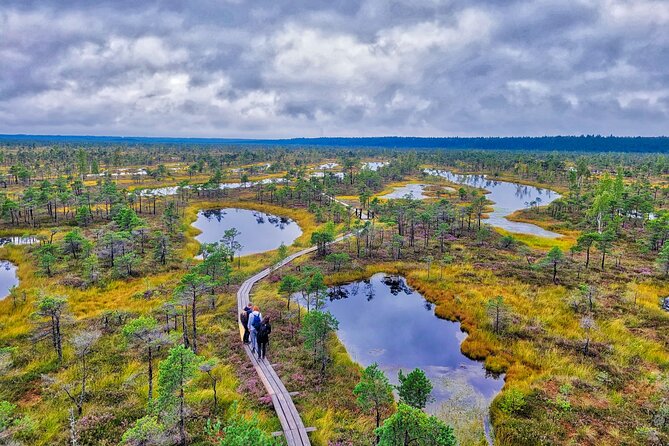 From Riga: Best of Kemeri National Park In One Day - Good To Know