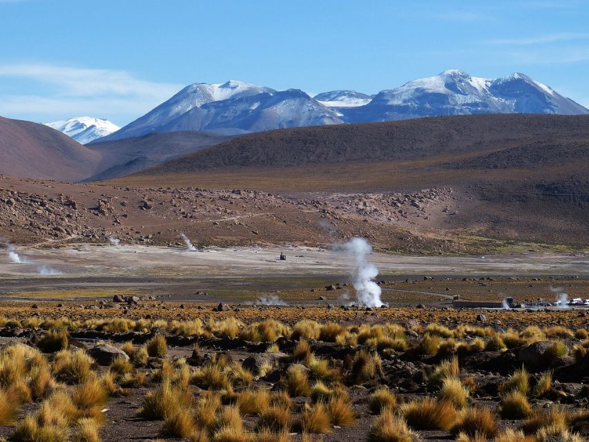 From San Pedro De Atacama: Geysers Del Tatio Half-Day Tour - Key Points