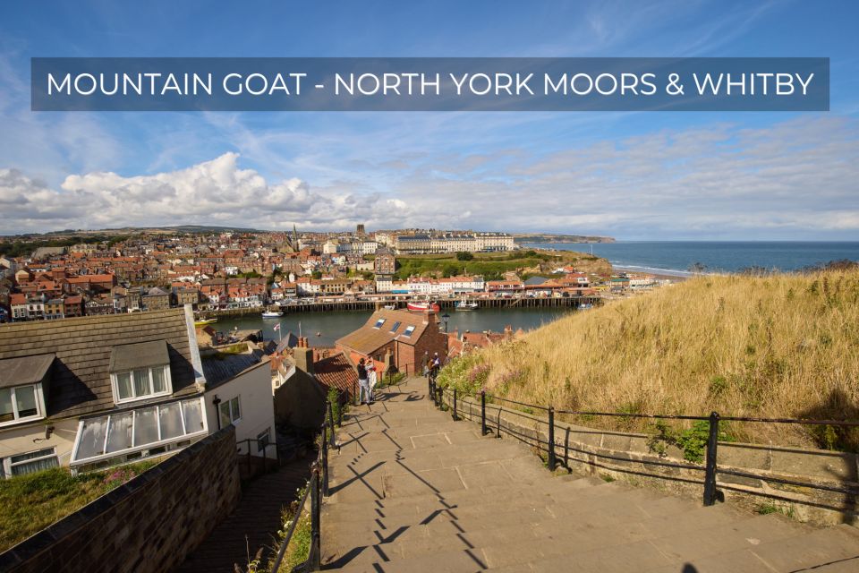 From York: North Moors & Whitby Tour With Steam Railway Ride - Key Points