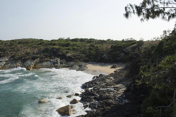 Full-Day 1770 Tour by LARC Amphibious Vehicle Including Sandboarding and Bustard Head Lightstation - Key Points