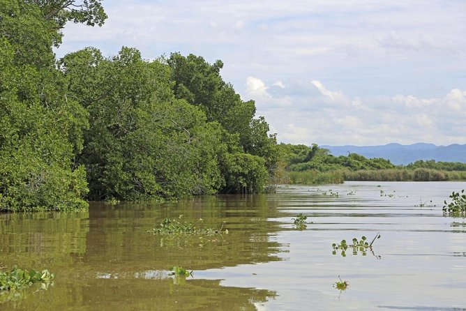 Full-Day Combo Tour With Entries to YS Falls, Black River Safari & Pelican Bar - Key Points