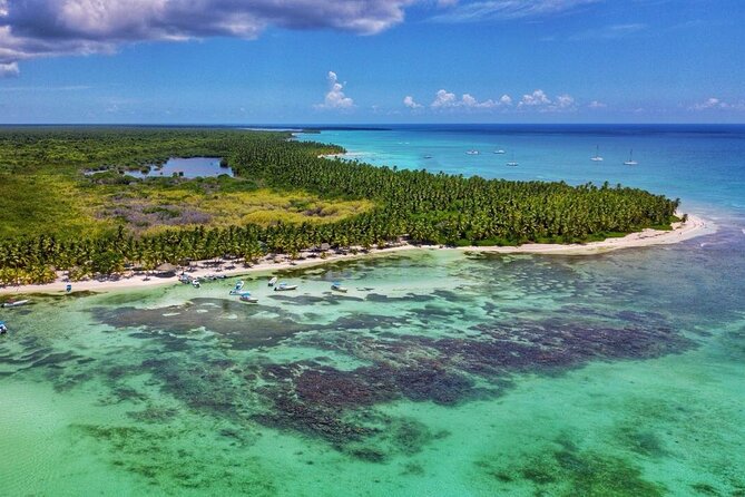 Full-Day Cruise of Isla Saona From Santo Domingo With Lunch - Key Points