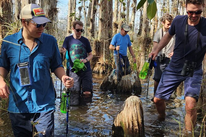 Full Day Everglades: Biologist Led WET Walk + 2 Boat Trips + Lunch Small Group - Key Points