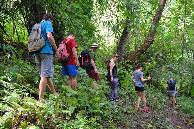 Full-Day Hike and Bike Tour From Chiang Mai - Key Points