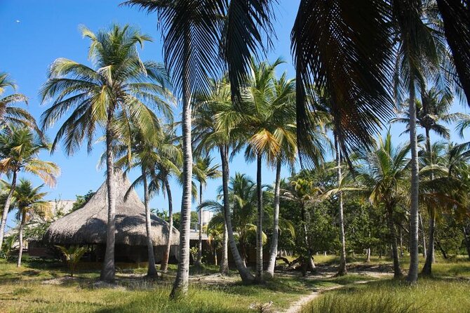 Full Day Isla Del Encanto - Rosario Islands - Key Points