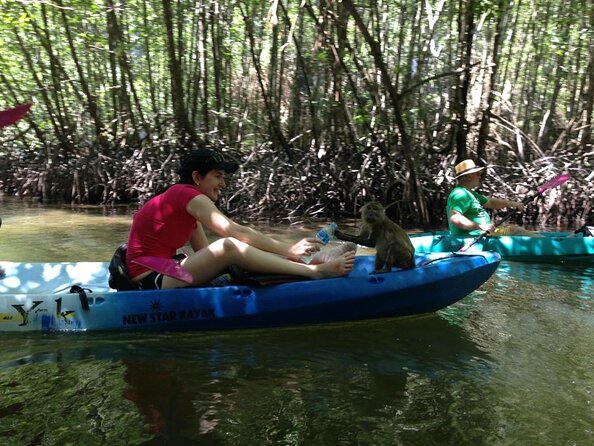 Full-Day Sea Kayaking Adventure in Ao Thalane Bay From Krabi - Key Points