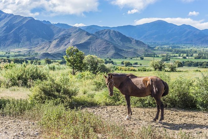 Full-Day Tour Cafayate Calchaqui Valleys With Wine - Key Points