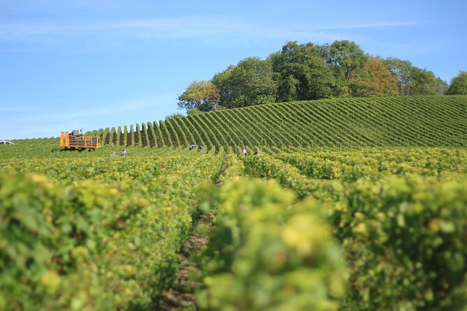 Full Rioja Wine Tour With Lunch From San Sebastian Private Tour - Good To Know