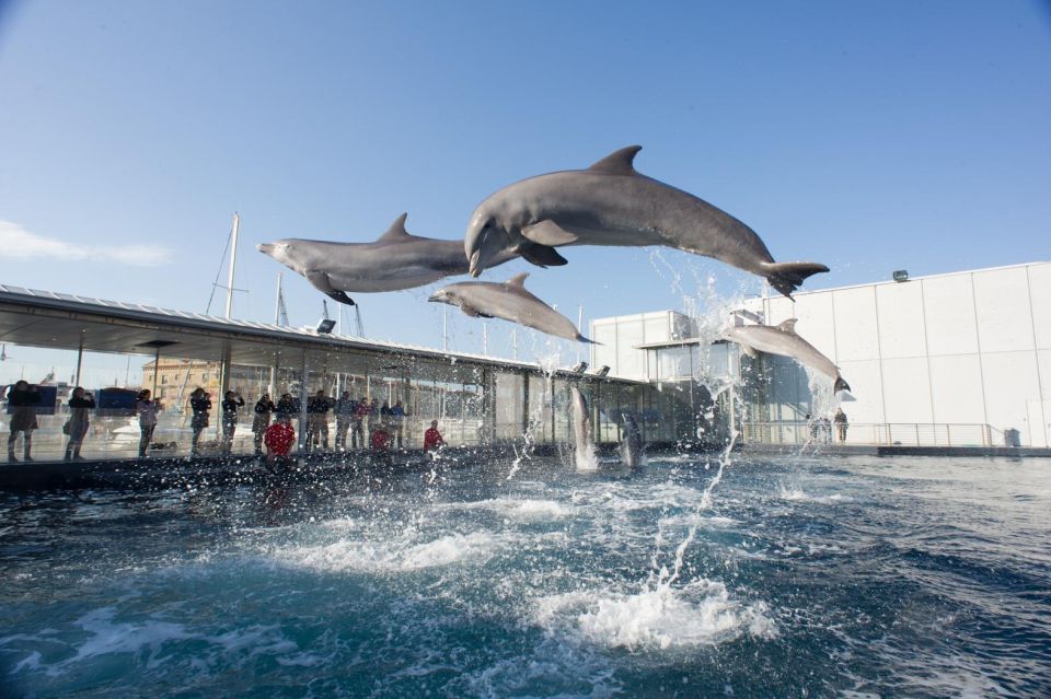 Genoa: Local Street Food Takeaway and Aquarium of Genoa - Key Points