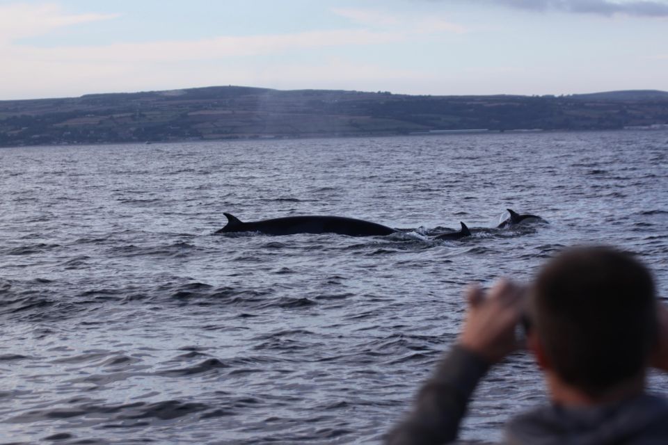 Golden Hour Boat Trip Experience - Key Points