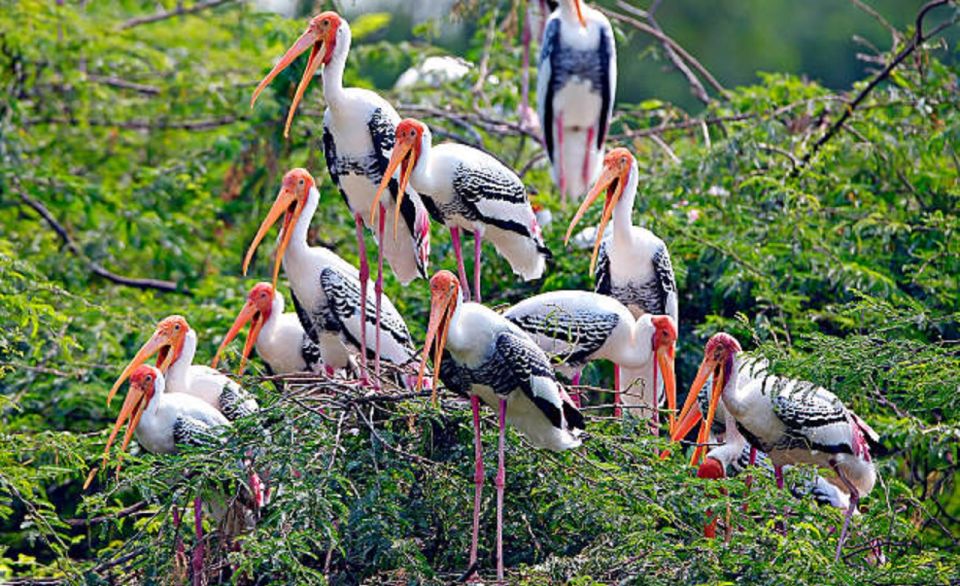 Golden Triangle Tour With Bharatpur - Key Points