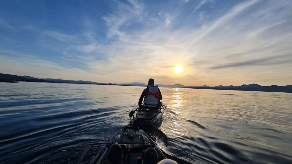 Golfo Aranci: Dolphin Watching Kayaking Tour With Aperitif - Key Points