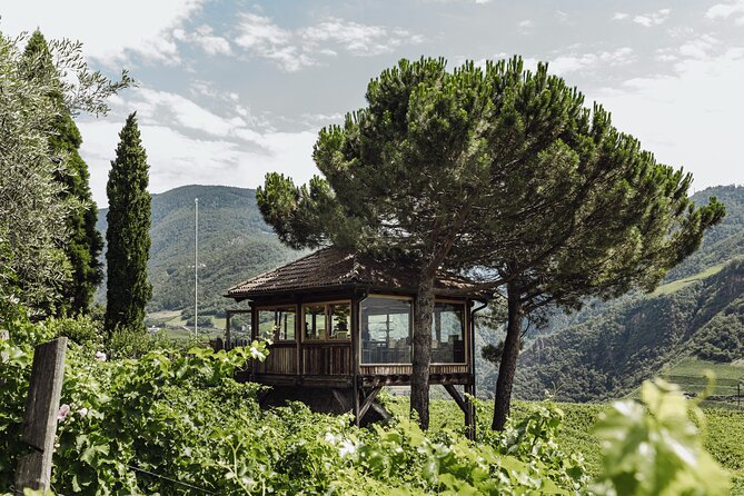 Guided Winery Tour With Tasting in Bolzano at the SKYWINE PAVILLON - Good To Know