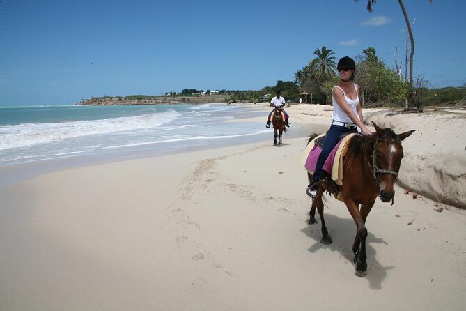 Half-Day Beach Horse Back Riding in Puerto Plata - Location and Pickup