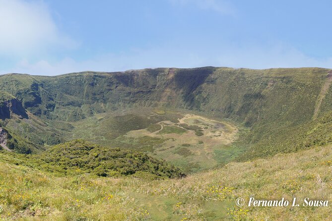 Half Day Faial Island Tour -Local Biologist - Key Points