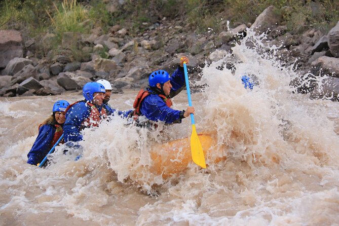 Half-Day Rafting Adventure on the Mendoza River - Overview of the Adventure